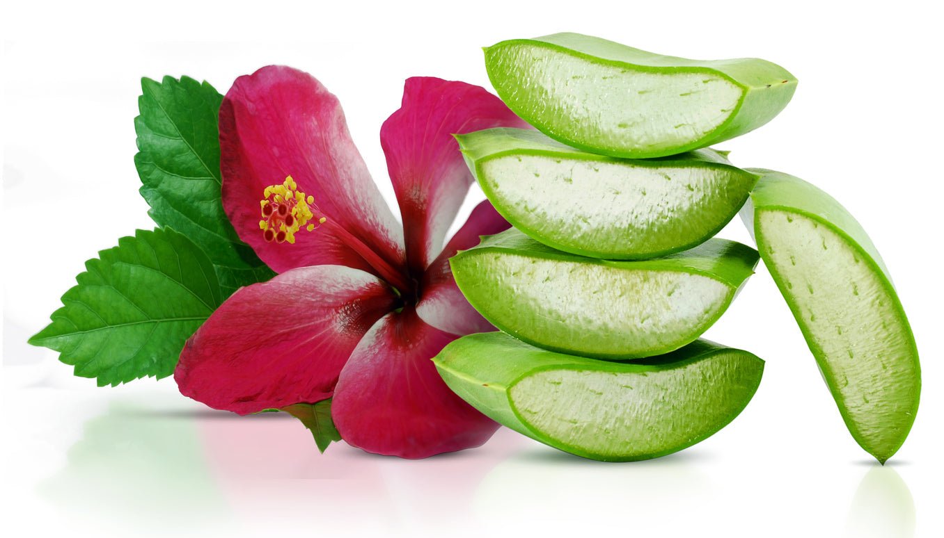 Star Ingredients: Aloe Vera & Hibiscus - Nana's Creative Studio